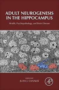 Adult Neurogenesis The Hippocampus: Health, Psychopathology, And Brain Disease
