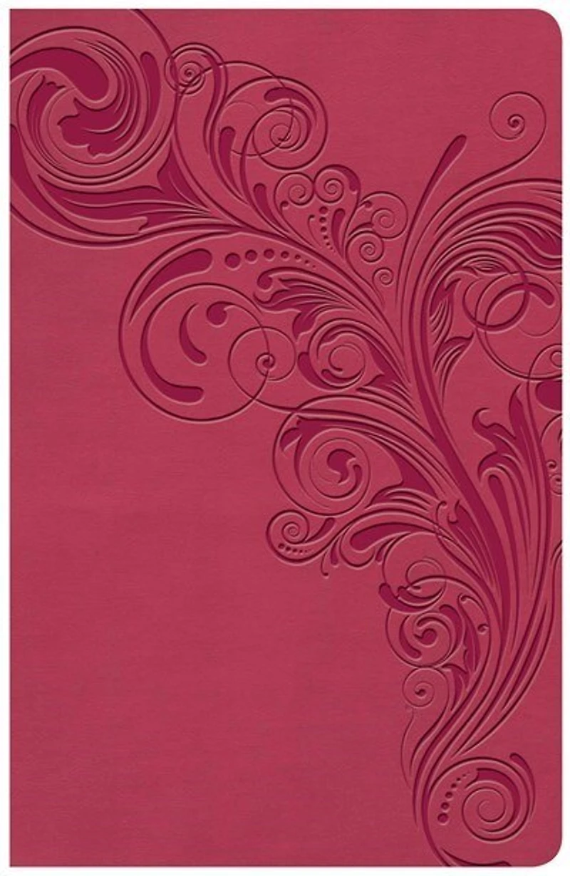 KJV Large Print Personal Reference Bible, Earthen SuedeSoft LeatherTouch