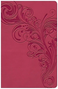 KJV Large Print Personal Reference Bible, Earthen SuedeSoft LeatherTouch