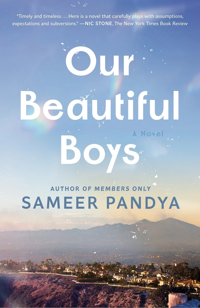 Our Beautiful Boys: A Novel