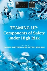 Teaming Up: Components Of Safety Under High Risk