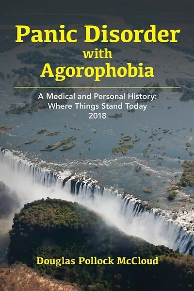 Panic Disorder With Agoraphobia: A Medical And Personal History: Where Things Stand Today 2018