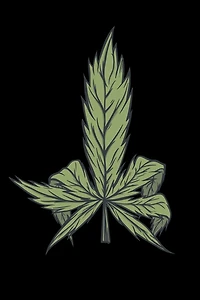 120 Pages DINA5: Cannabis Graphic Jorunal Book For Marijuana Smoker 120 Pages DINA5