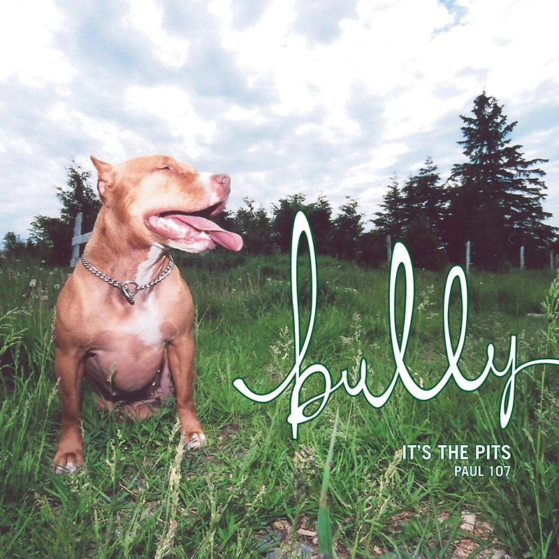 Bully: It's The Pits