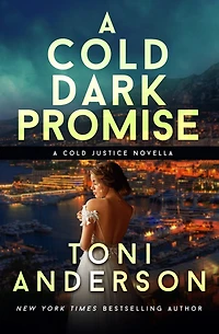A Cold Dark Promise: Romantic Thriller