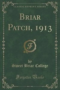 Briar Patch, 1913 (Classic Reprint)