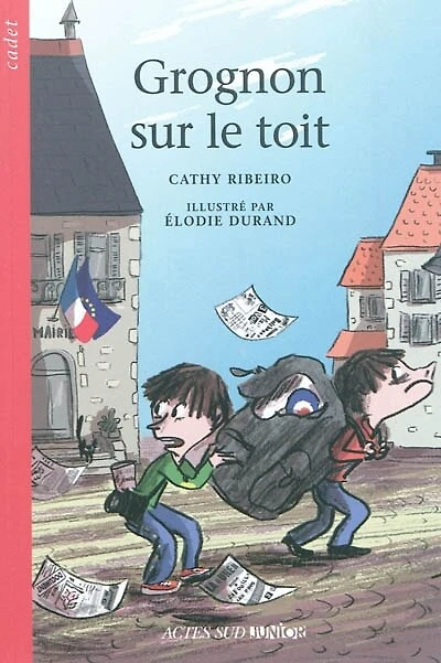 Grognon sur le toit