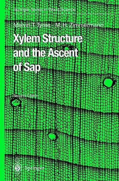Xylem Structure and the Ascent of Sap