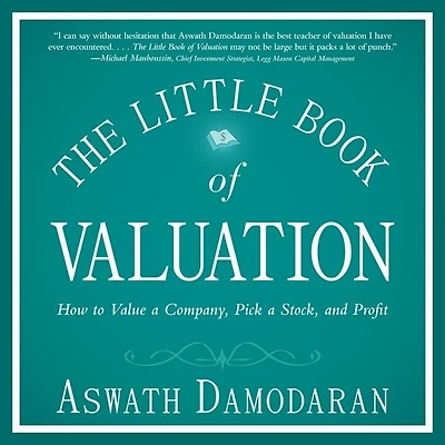 The Little Book of Valuation: How to Value a Company, Pick Stock and Profit