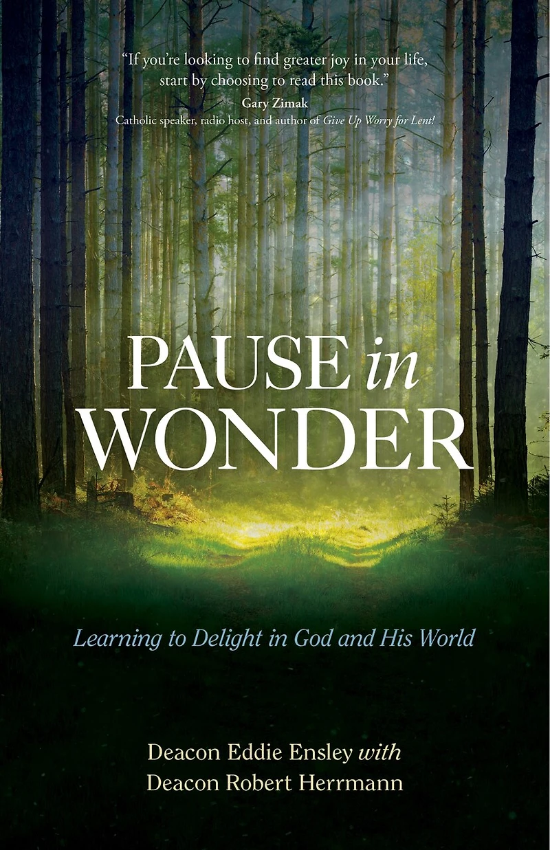 Pause Wonder: Learning To Delight God And His World
