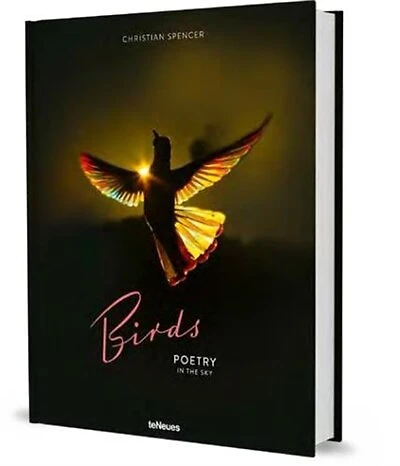 Birds: Poetry in the Sky