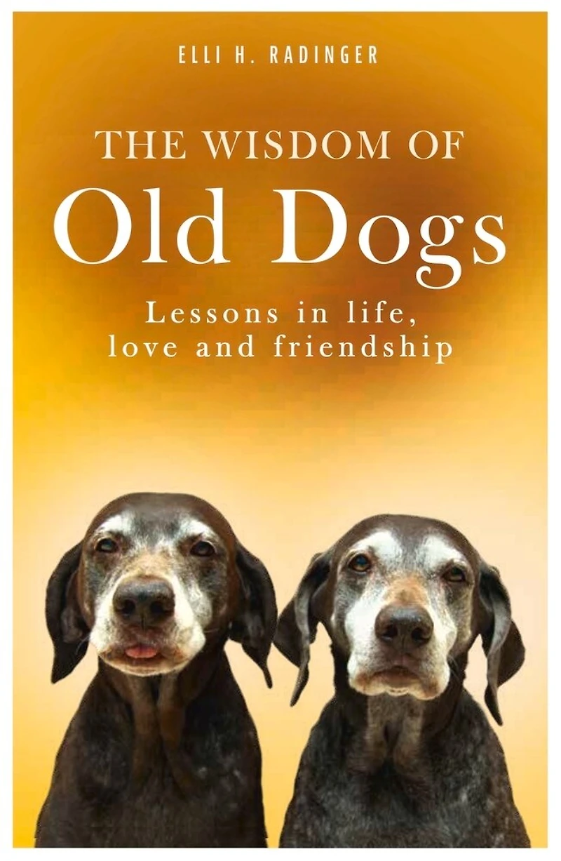 The Wisdom of Old Dogs: Lessons in Life, Love and Friendship