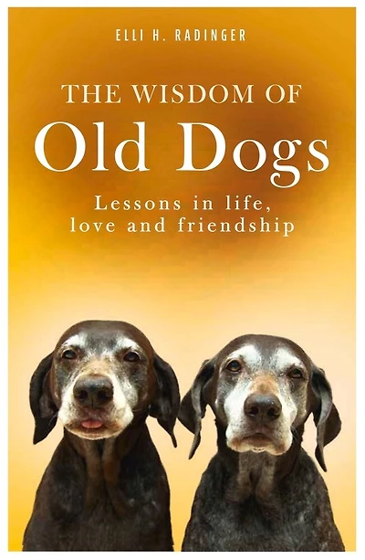 The Wisdom of Old Dogs: Lessons in Life, Love and Friendship
