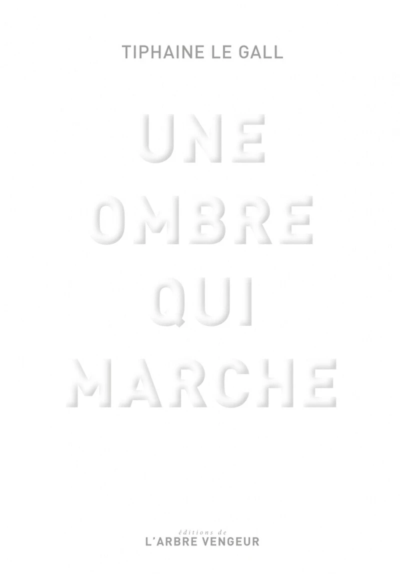 Une ombre qui marche: essai sur les fondements et enjeux de L'oeuvre absente Timothy Grall, par Maxime Desvaux, maître conférence émérite en littérature française comparée à l'université Sorbonne, Paris IV