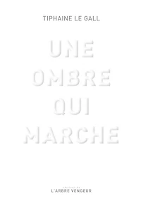 Une ombre qui marche: essai sur les fondements et enjeux de L'oeuvre absente Timothy Grall, par Maxime Desvaux, maître conférence émérite en littérature française comparée à l'université Sorbonne, Paris IV