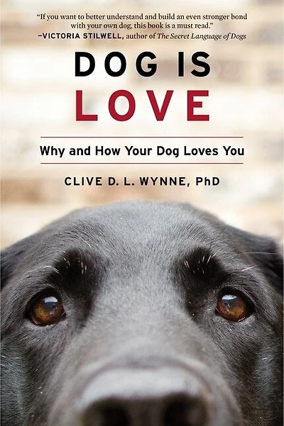 Dog Is Love: Why And How Your Loves You