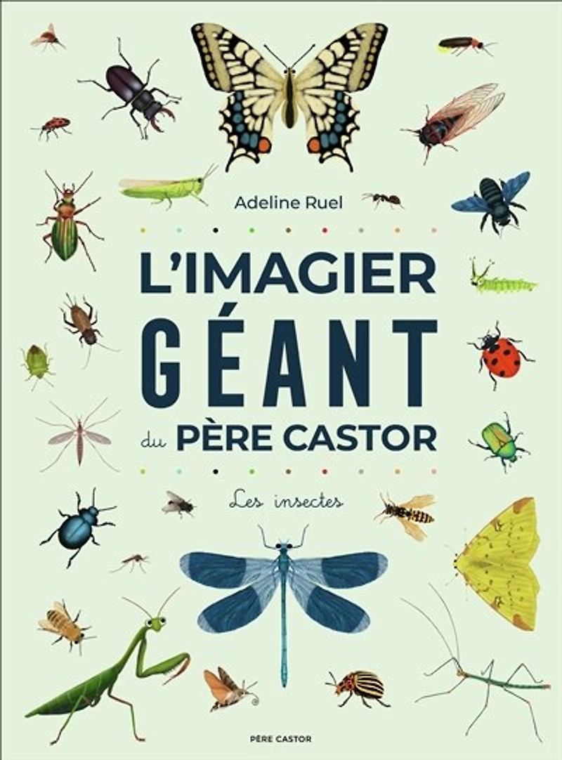 L' imagier géant du Père Castor: les insectes