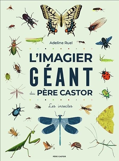 L' imagier géant du Père Castor: les insectes