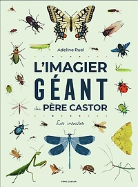 L' imagier géant du Père Castor: les insectes