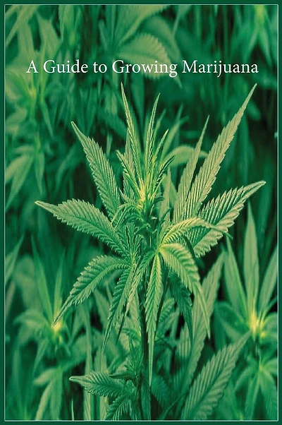 A Guide To Growing Marijuana