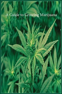 A Guide To Growing Marijuana