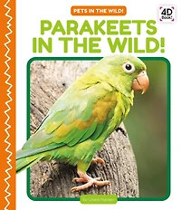 Parakeets in the Wild!