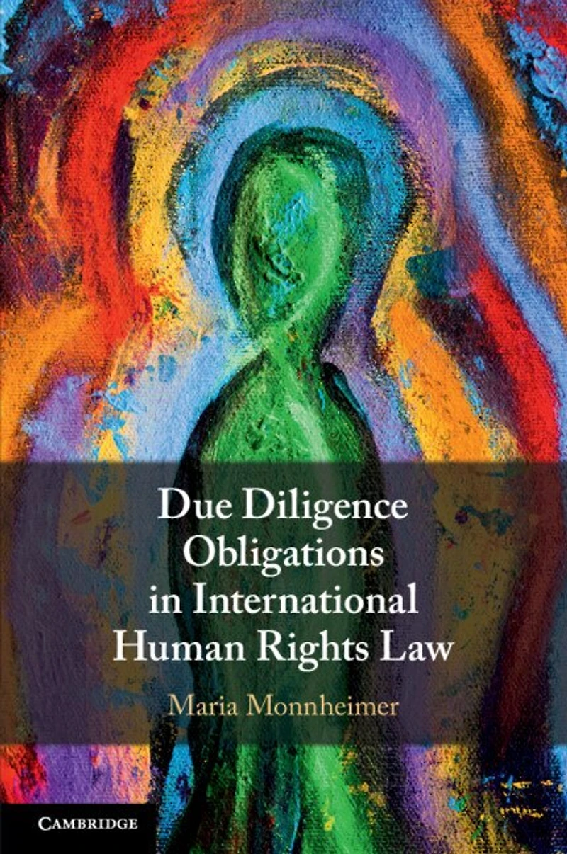 Due Diligence Obligations International Human Rights Law