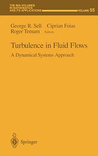 Turbulence Fluid Flows: A Dynamical Systems Approach
