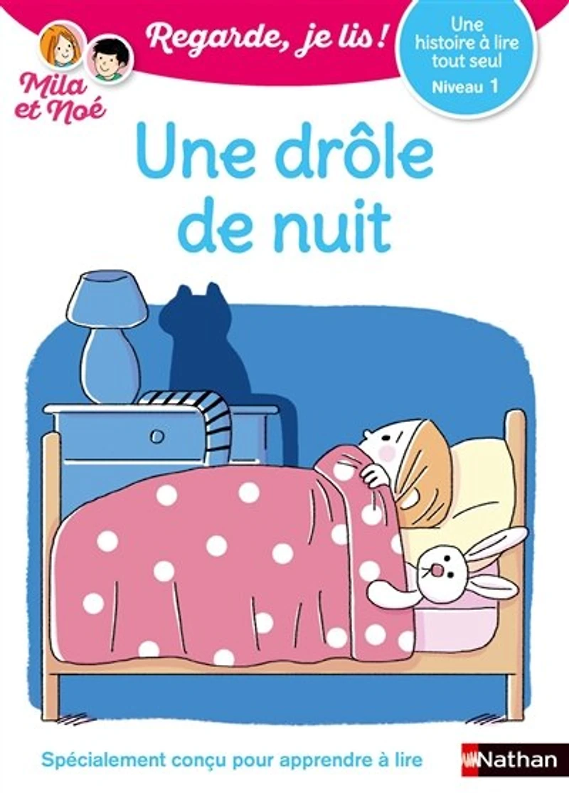 une drôle de nuit: histoire à lire tout seul, niveau 1