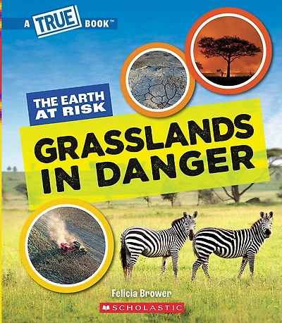 Grasslands Danger (A True Book: The Earth at Risk)