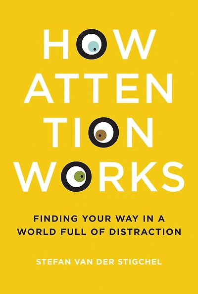 How Attention Works: Finding Your Way A World Full Of Distraction