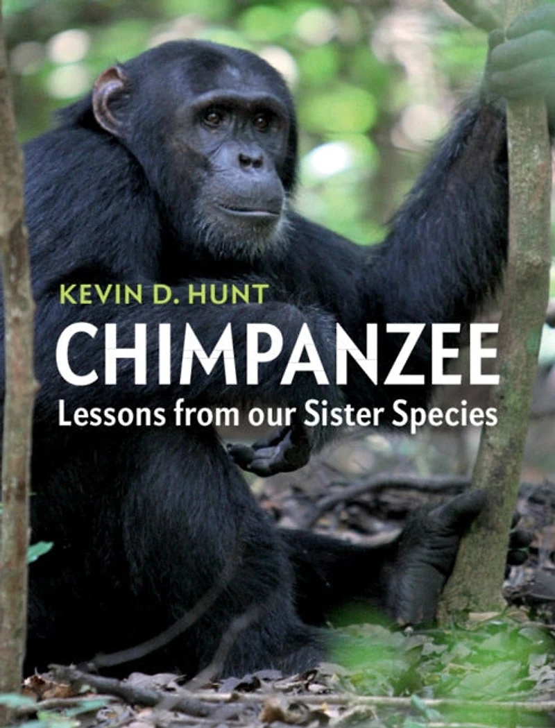 Chimpanzee: Lessons From Our Sister Species
