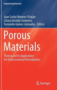 Porous Materials: Theory And Its Application For Environmental Remediation