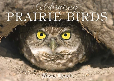 A Celebration Of Prairie Birds