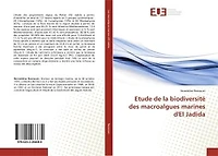 Etude de la biodiversité des macroalgues marines d'El Jadida