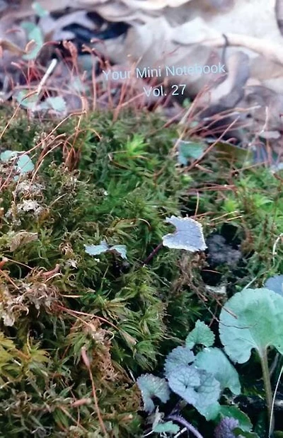Your Mini Notebook! Vol. 27: A Special Small Notebook Gathers No Moss...
