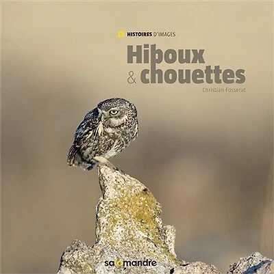 Hiboux & Chouettes