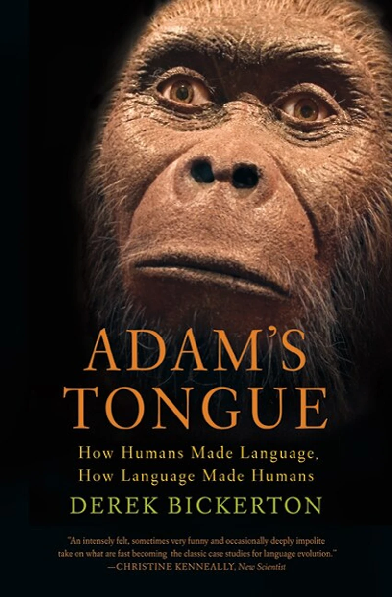 Adam's Tongue: How Humans Made Language, Language