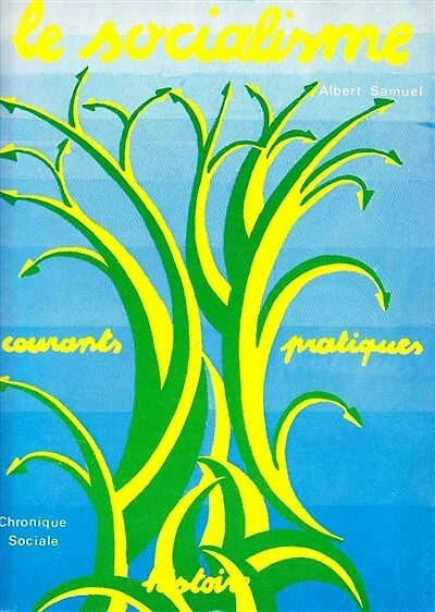 Le Socialisme : Histoire, courants, pratiques: Histoire, courants, pratiques