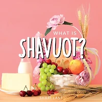 What is Shavuot?: Your guide to the unique traditions of the Jewish festival of Shavuot