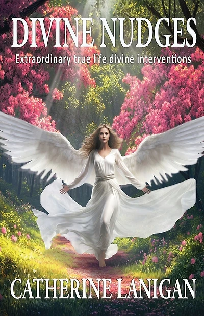 Divine Nudges