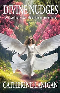 Divine Nudges