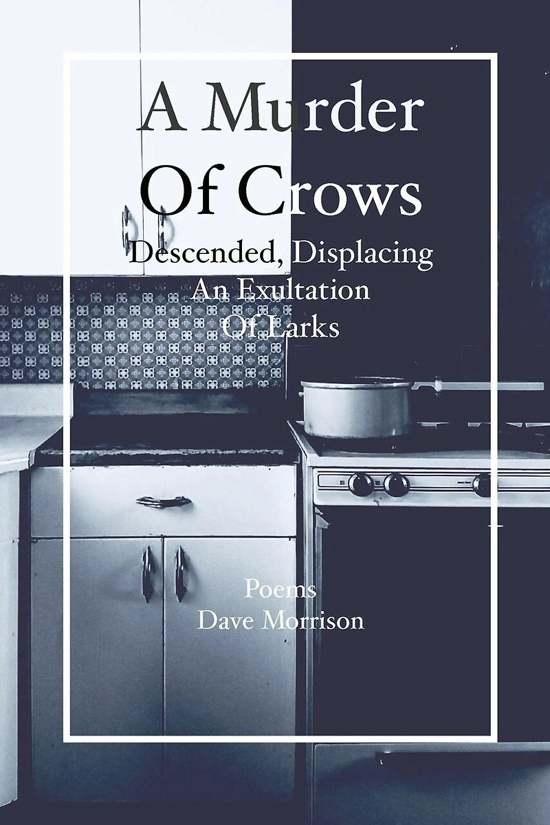 A Murder of Crows Descended, Displacing an Exultation of Larks: Poems - Dave Morrison