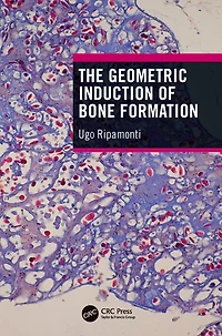 The Geometric Induction of Bone Formation