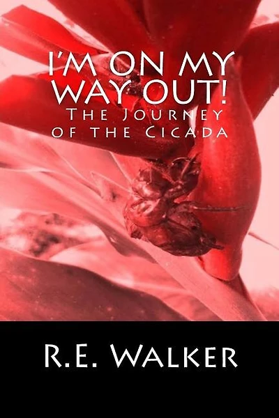 I'm On My Way Out! The Journey of the Cicada