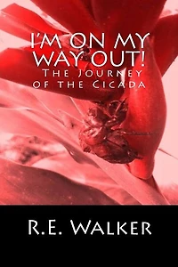 I'm On My Way Out! The Journey of the Cicada