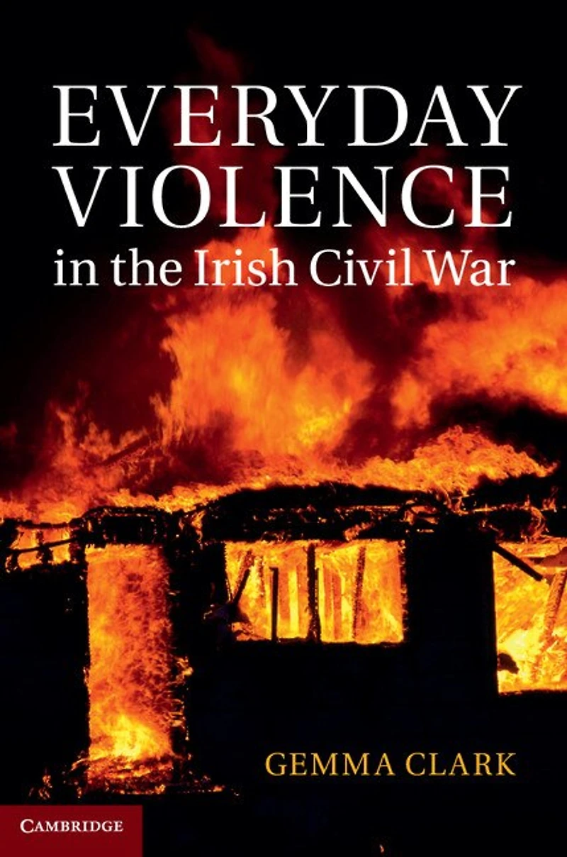 Everyday Violence the Irish Civil War