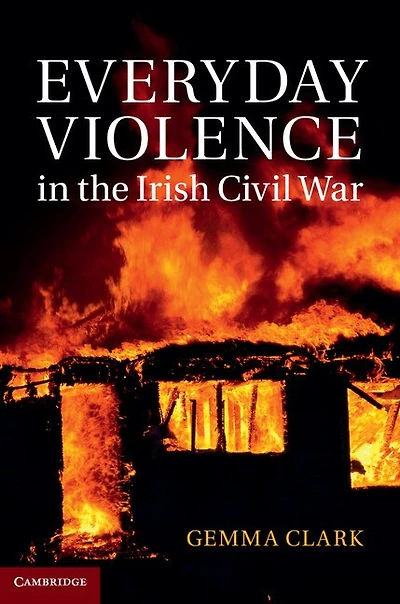 Everyday Violence the Irish Civil War