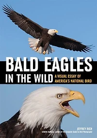 Bald Eagles In The Wild: A Visual Essay Of America's National Bird