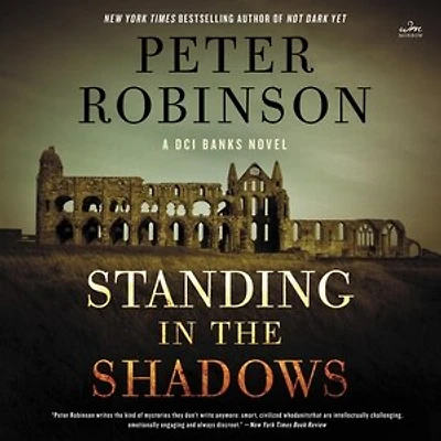 Standing the Shadows: A Novel